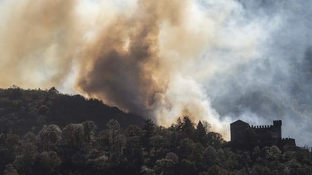  Erhöhte Waldbrandgefahr: Was die Schweiz vom Tessin lernen kann