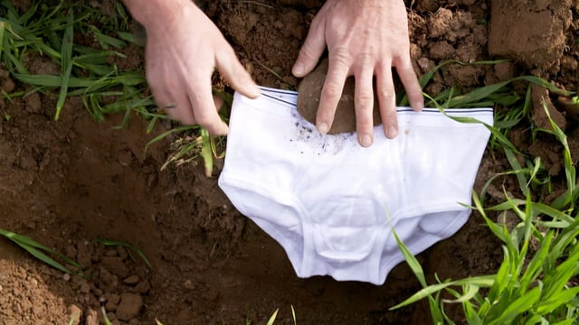  Was Unterwäsche über die Qualität unserer Böden verrät