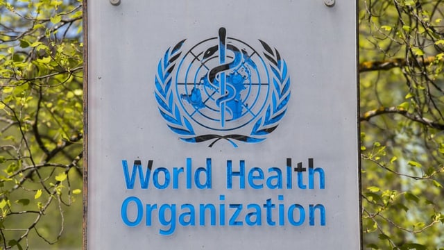  WHO: Mysteriöse Hepatitisfälle bei Kindern – 12 Länder betroffen