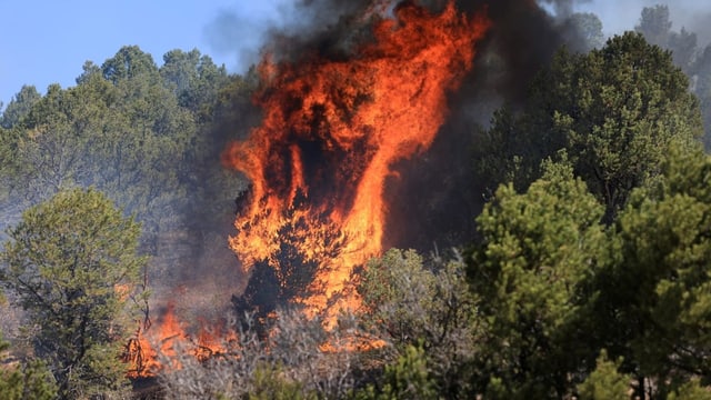  Der US-Bundesstaat New Mexico evakuiert Tausende wegen Waldbrand