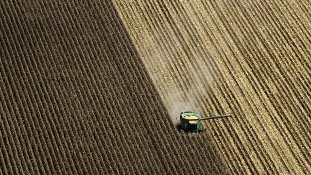  Mehr Biosprit, mehr Hunger: ein fataler Kreislauf