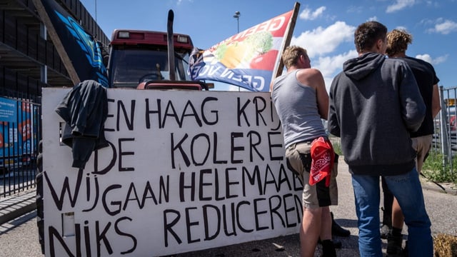  Hollands Bauern setzen Kampf gegen tiefere Stickstoffwerte fort