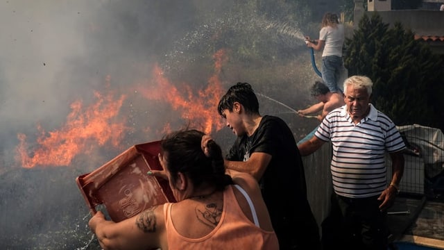  Brände, Dürre und hohe Temperaturen: Europa ächzt unter der Hitze