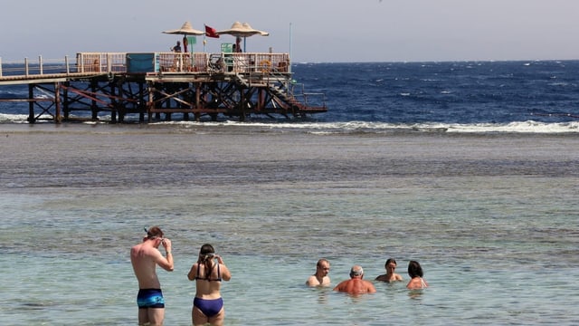  Zwei tödliche Haiangriffe erschüttern Touristenort Hurghada