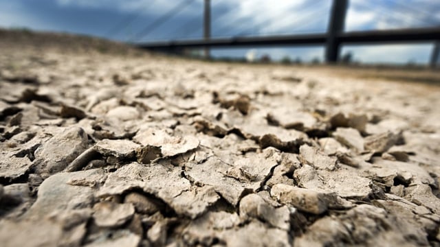  Fast die Hälfte Europas von extremer Trockenheit betroffen