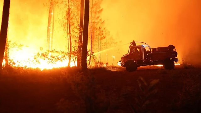  Frankreich: Waldbrände wüten in Region um Bordeaux