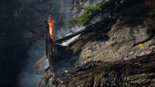  Waldbrand in Tschechien wütet weiter auf rund 1000 Hektar