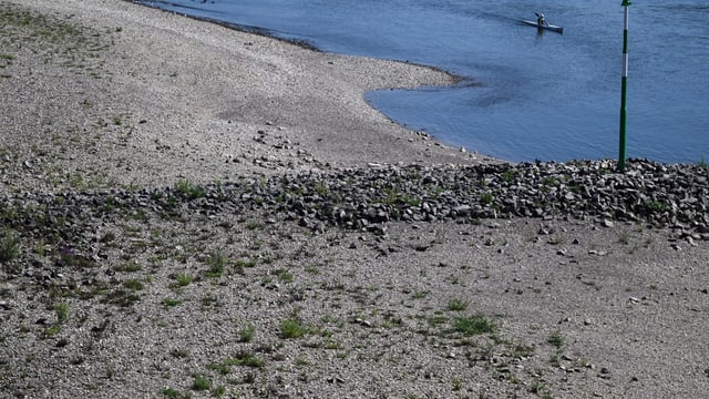  Rhein-Pegel stellenweise nur noch knapp über 40 Zentimeter