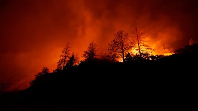  Brände und Blackouts: Kalifornien kämpft mit Rekordhitze