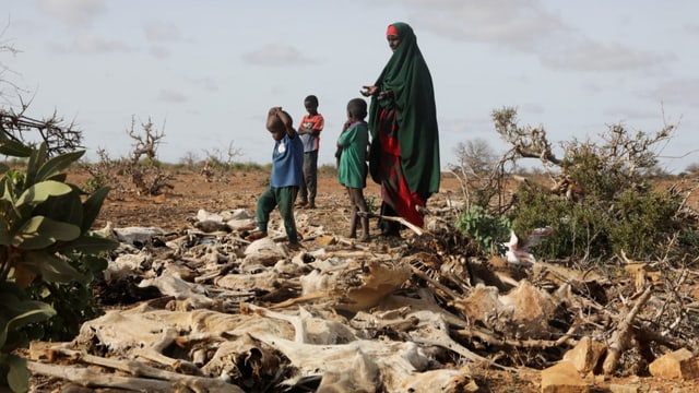 «Über 200’000 Somalier sind unmittelbar vom Hungertod bedroht»