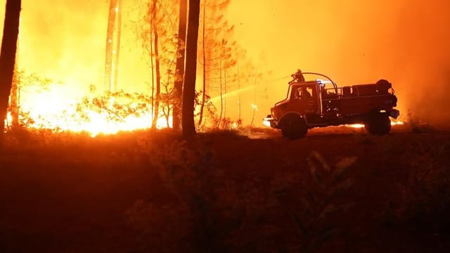  EU investiert in den Kampf gegen Waldbrände