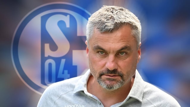  Reis neuer Trainer bei Schalke
