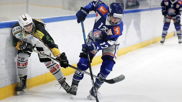  Verband regelt Einstieg ins Frauen-Hockey – Schneeberger verletzt