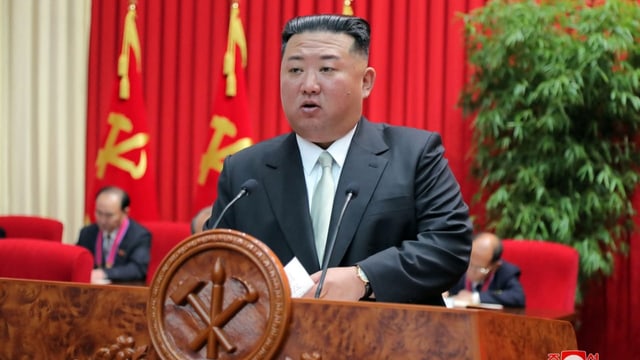  «Nordkorea hat sein Überleben stark an Atomwaffen gebunden»