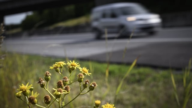  Schweiz fällt beim Klimaschutz zurück