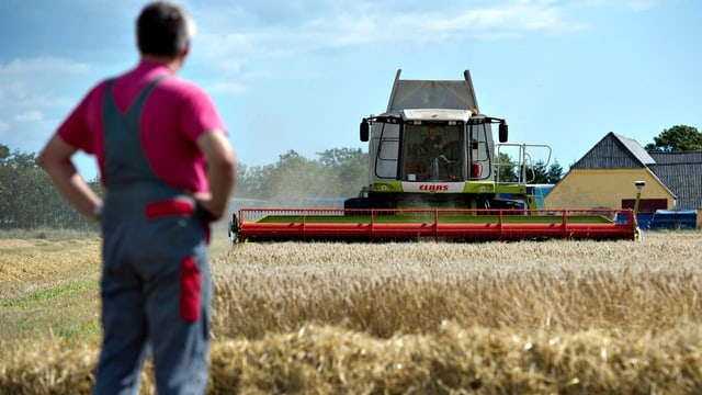  Die dänischen Bauern sollen zu Klimapionieren werden
