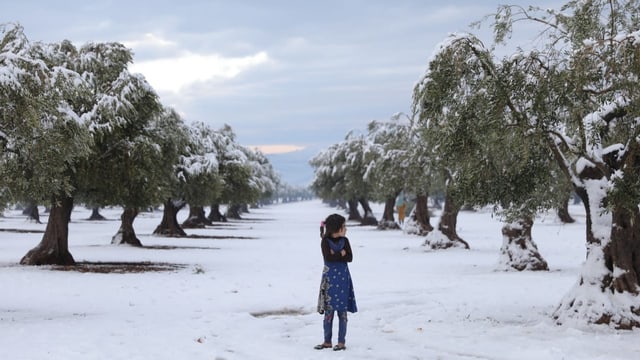  Über Syrien bricht ein langer Winter herein