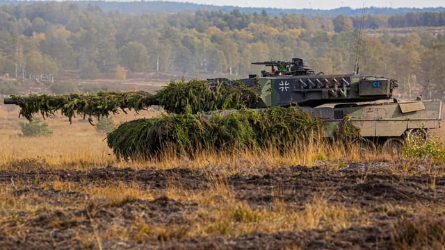  Marder, Gepard, Leopard: die Rollen der verschiedenen Panzertypen