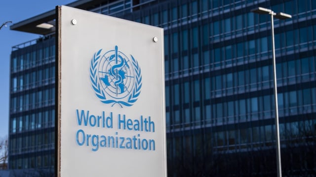  WHO: Die nächste Pandemie soll besser gemanagt werden