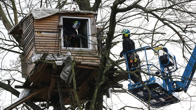  Lützerath wird geräumt – Aktivisten harren auf Bäumen aus