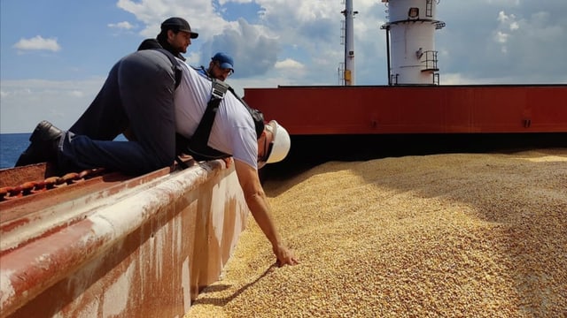  Getreide aus der Ukraine macht Bauern im Osten Geschäft kaputt