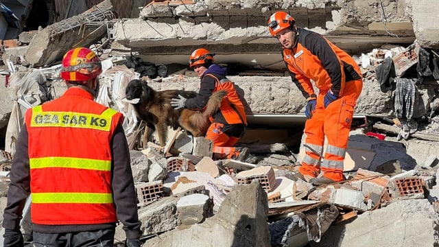  Redog rettet 28 Menschen lebend aus den Trümmern in der Türkei