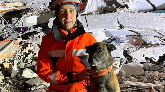  So erlebten Schweizer Rettungshunde den Einsatz in den Trümmern