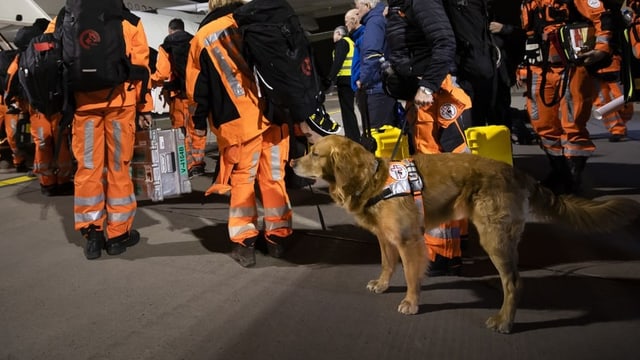  Schweizer Hundeführer: «Wunder passieren immer wieder»
