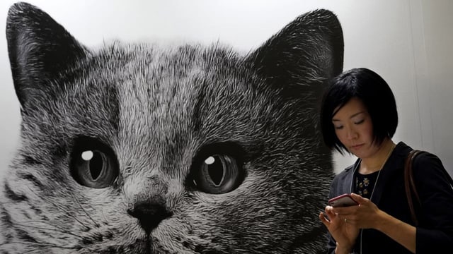  Katze statt Kind: In Japan werden Haustiere zum Familienersatz