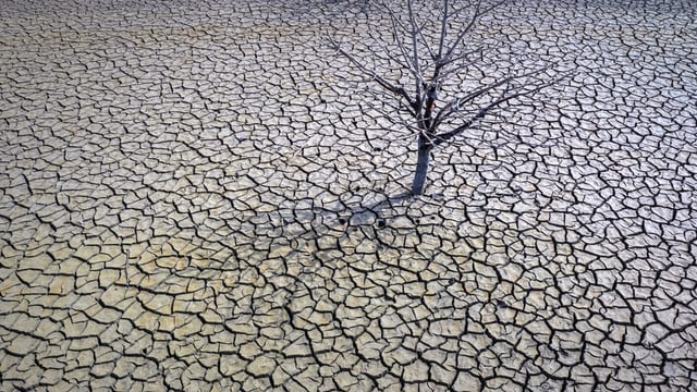  Weltweite Wasserknappheit verschärft sich immer mehr