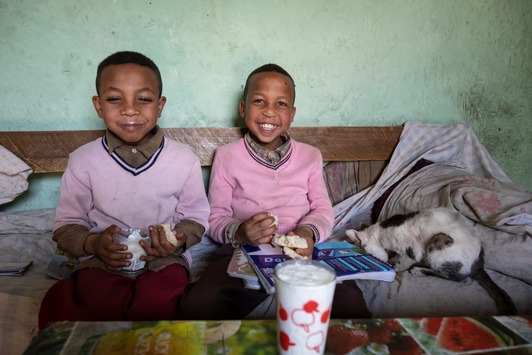  Mikrokredite in Äthiopien: Milch sorgt für Entwicklung
