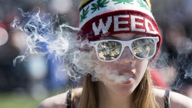  In Deutschland kommt die Cannabis-Legalisierung «light»