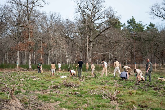  Internationaler Tag des Baumes – Pflanzprojekt für die Zukunft von Chambord