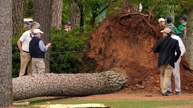  Stürzende Bäume gefährden Golfer – Spielbetrieb unterbrochen