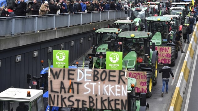  In Flandern muss das Vieh weg – das macht die Bauern wütend
