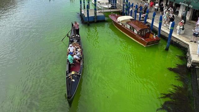  Canal Grande in Venedig leuchtet grün – Farbstoff ungefährlich