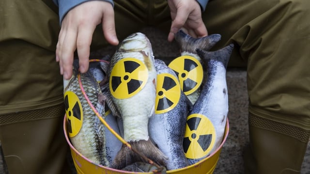  Japan will radioaktives Fukushima-Wasser ins Meer leiten