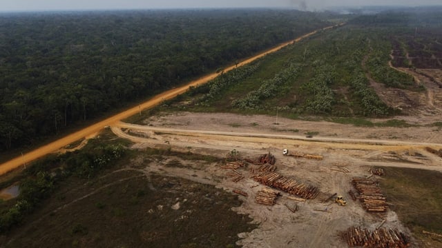  Lulas Amazonaspolitik verspricht das fast Unmögliche