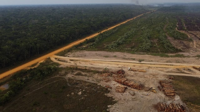  Lulas Amazonas-Politik verspricht das fast Unmögliche