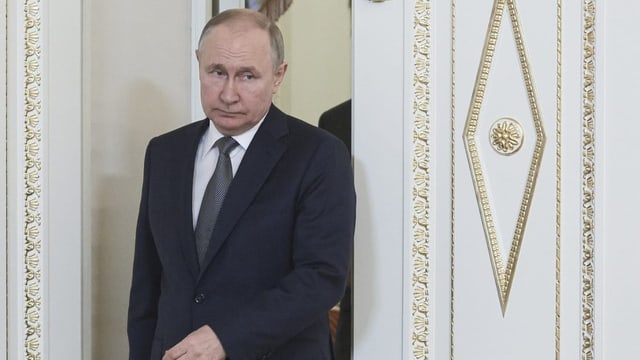  Afrikanische Länder brauchen Putin für Getreidelieferungen