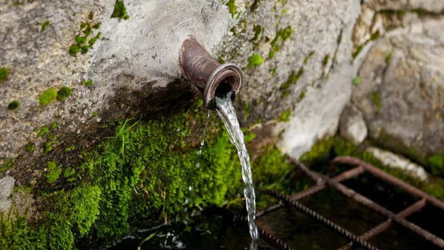  Im Grundwasser wimmelt es von Leben – und warum das wichtig ist