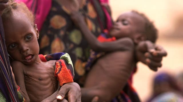  UNO-Bericht: 735 Millionen Menschen hungern weltweit