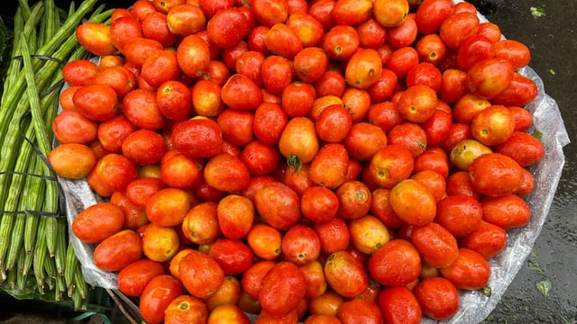  Teure Tomaten machen Millionäre in Indien