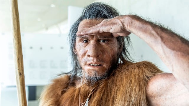  Waren die Neandertaler die ersten abstrakten Künstler?