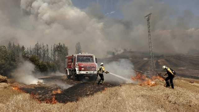  So heftig wüten die Waldbrände in Südeuropa