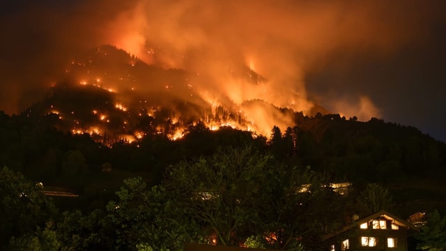  Nach dem Feuer: Höhere Biodiversität im offenen Wald