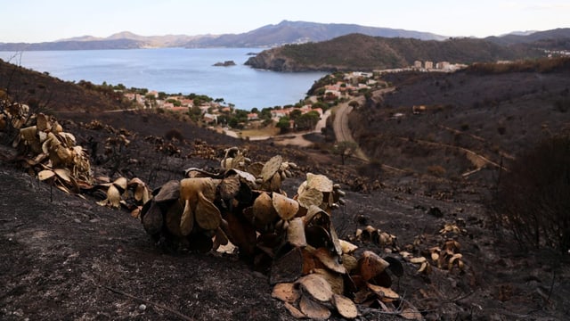  Waldbrände zerstören Tausende Hektar in Spanien und Portugal
