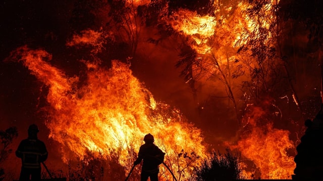  In weiten Teilen Portugals brennt es derzeit