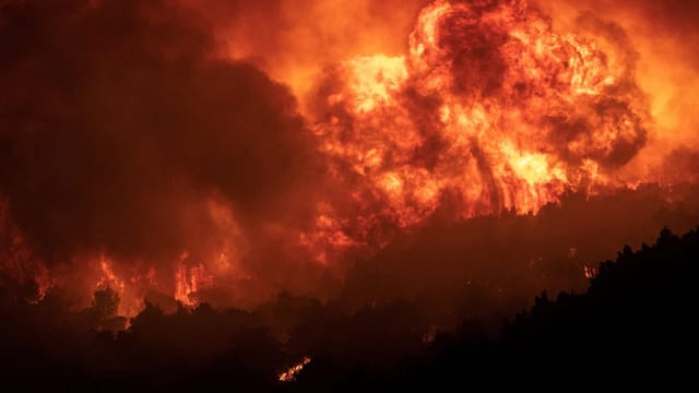  EU: Waldbrände in Alexandroupolis sind grösste der EU-Geschichte