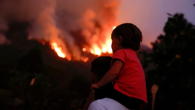  Teneriffa-Waldbrand breitet sich weiter aus – «aber sehr langsam»